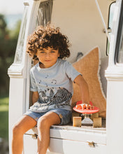 Load image into Gallery viewer, Fox & Finch - Bebe- Zebra Party Tee- Soft Blue