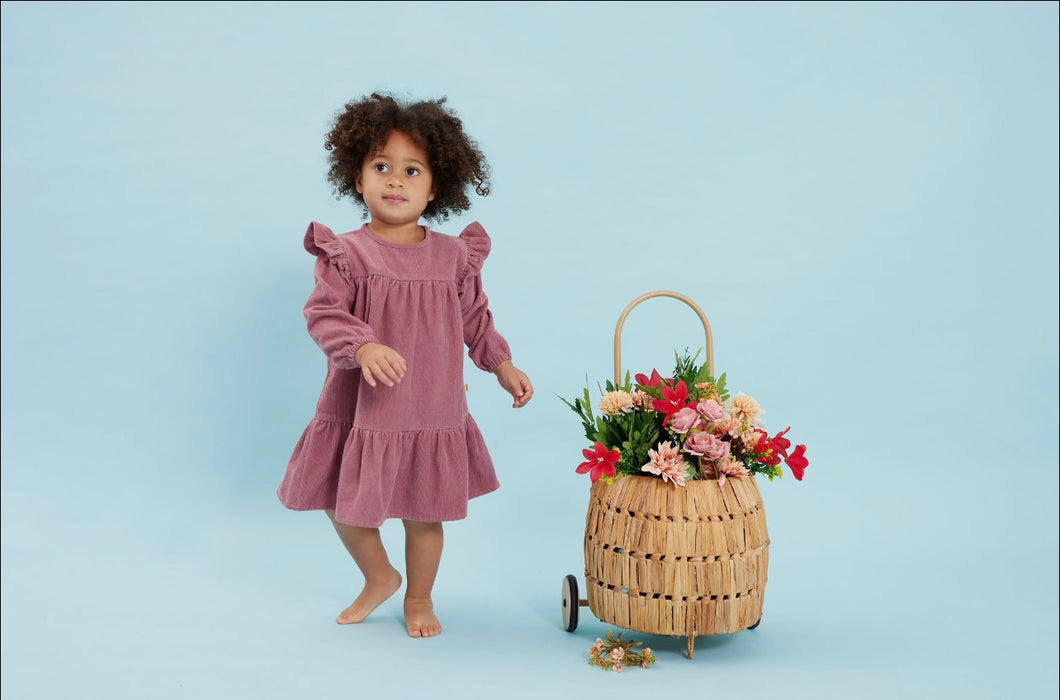 Tiny Twig - Butterfly - Corduroy Dress - Rose