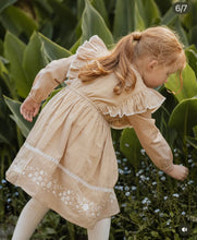 Load image into Gallery viewer, Bebe/Fox &amp; Finch Winnie Embroidered Gingham Dress - Mustard Check
