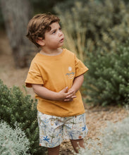 Load image into Gallery viewer, Bebe/Fox Finch Havana Tee or Short - SOLD SEPARATELY
