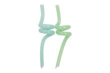 Load image into Gallery viewer, Little Woods Twirly straws
