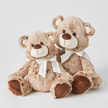 Load image into Gallery viewer, Pilbeam - Teddy Family - Sold as a set of 2
